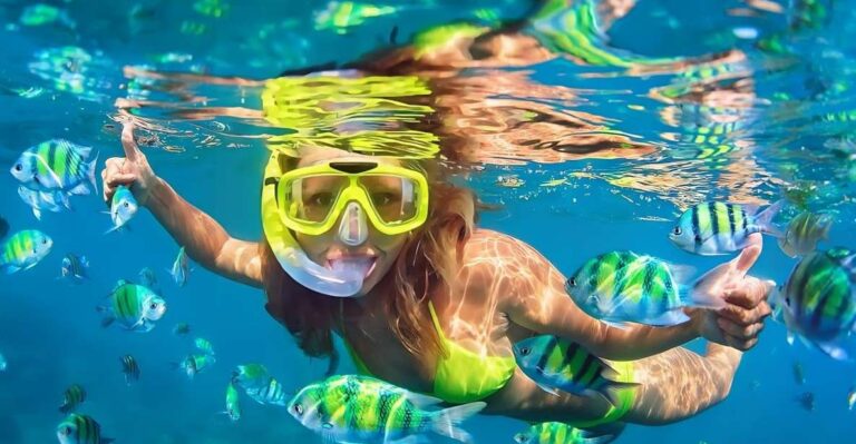 Bali: Snorkeling on 2 Spots With Lunch and Transport