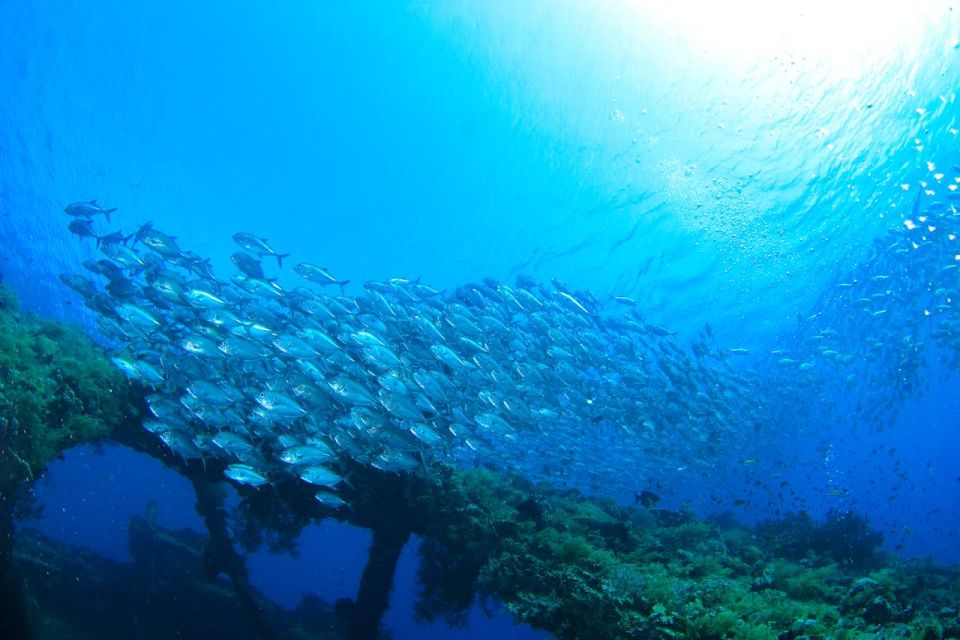 1 bali tulamben usat liberty wreck scuba diving Bali: Tulamben USAT Liberty Wreck Scuba Diving