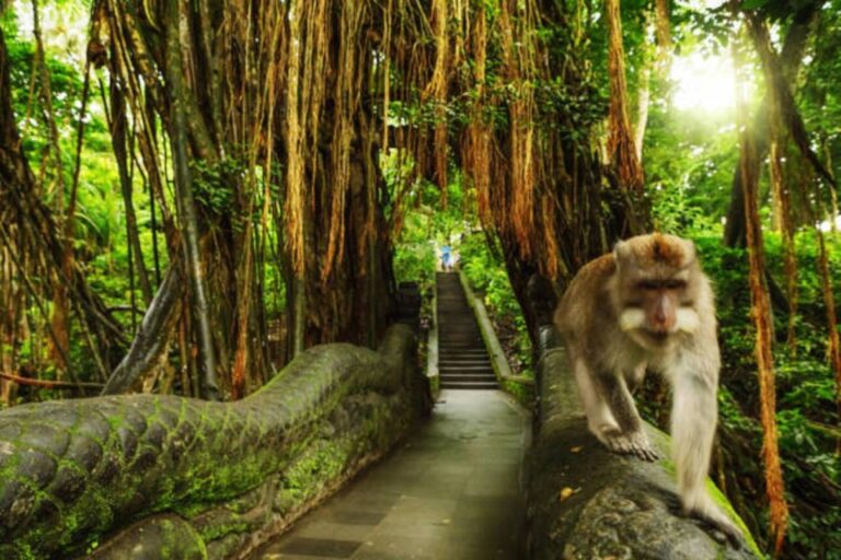 Bali: Ubud Monkey Forest & Waterfall