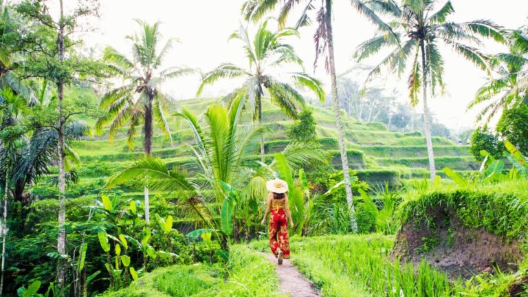 Bali: Ubud Rice Terraces, Monkey Forest & WaterfallTour