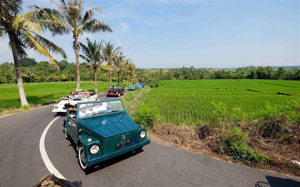 1 bali vintage vw jeep countryside safari Bali: Vintage VW Jeep Countryside Safari