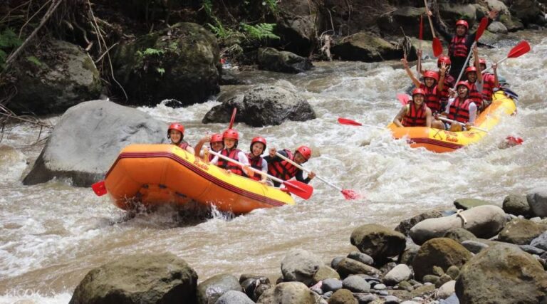 Bali White Water Rafting: Lunch & Private Transfer Included