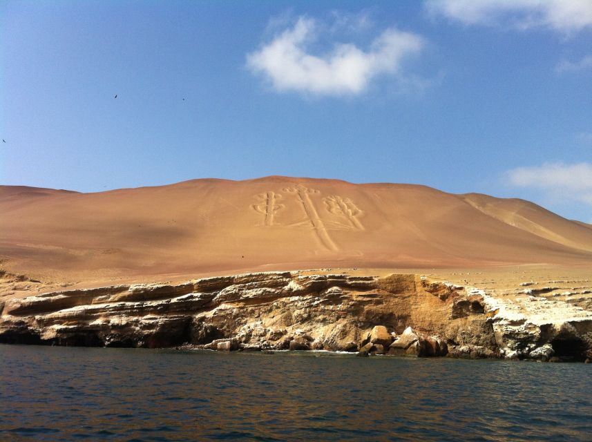 1 ballestas islands boat excursion shared tour Ballestas Islands: Boat Excursion Shared Tour