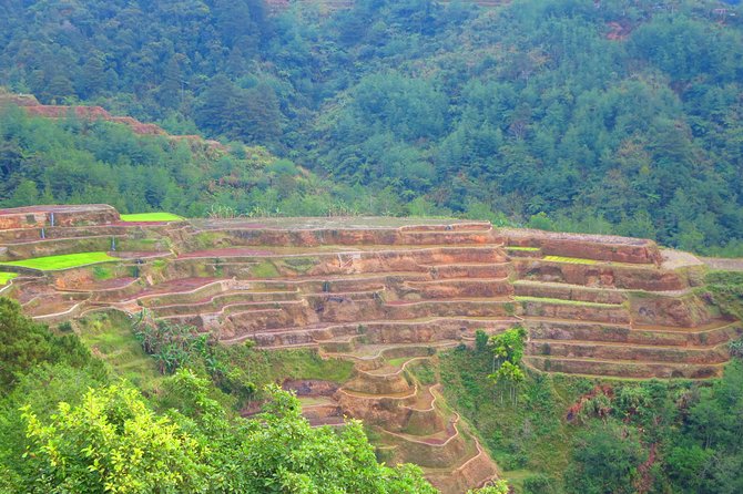 Banaue Rice Terraces Escape: 3 Days, 2 Nights With Transfers
