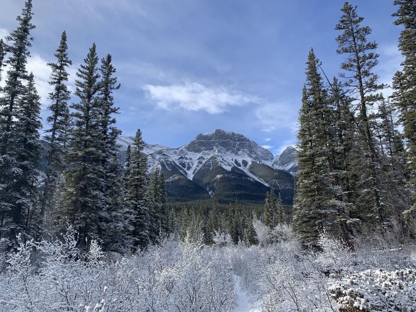 1 banff local legends and landmarks history tour 2hrs Banff: Local Legends and Landmarks - History Tour 2hrs