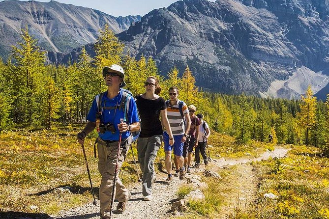 1 banff national park guided hike with lunch Banff National Park Guided Hike With Lunch