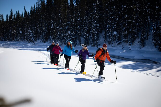 Banff National Park Snowshoeing Adventure Small Group Guided Tour
