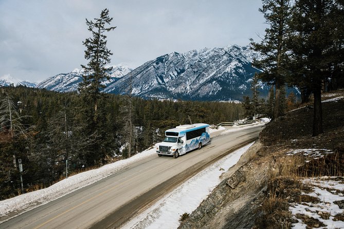 Banff Winter Wonder Tour – Featuring Nightrise at Banff Gondola