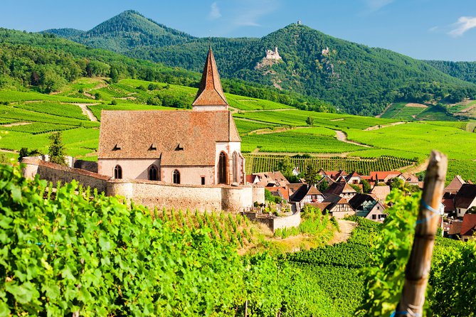 Basel and Alsace Cuisine and Culture Private Tour From Zurich