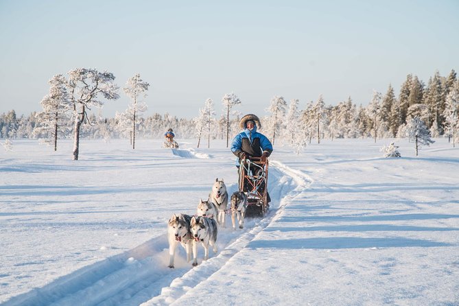 Be a Musher! Husky Tour Into the Arctic Wilderness