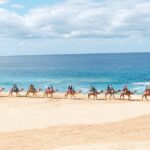 1 beach camel ride encounter in cabo by cactus tours park Beach Camel Ride & Encounter in Cabo by Cactus Tours Park