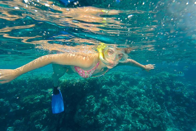 1 beach hopper snorkeling tour in los cabos Beach Hopper Snorkeling Tour in Los Cabos