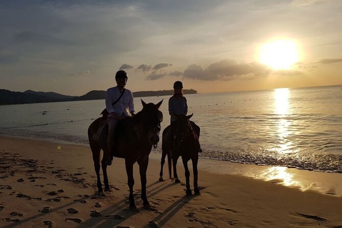 1 beach horse riding at sunset in phuket Beach Horse Riding At Sunset In Phuket