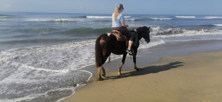 .Beach Horse Riding Turtle Release Crocodile Farm Experience