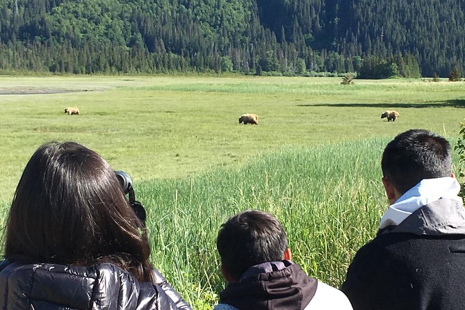 1 bear viewing excursion and airplane adventure tour Bear Viewing Excursion and Airplane Adventure Tour