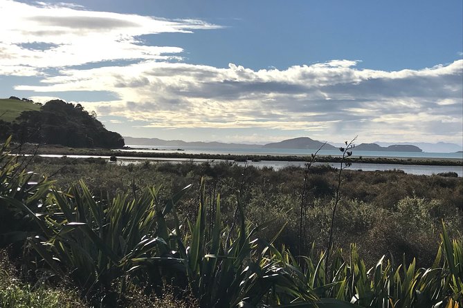 Beautiful Pohutukawa Coast – Half Day Private Tour