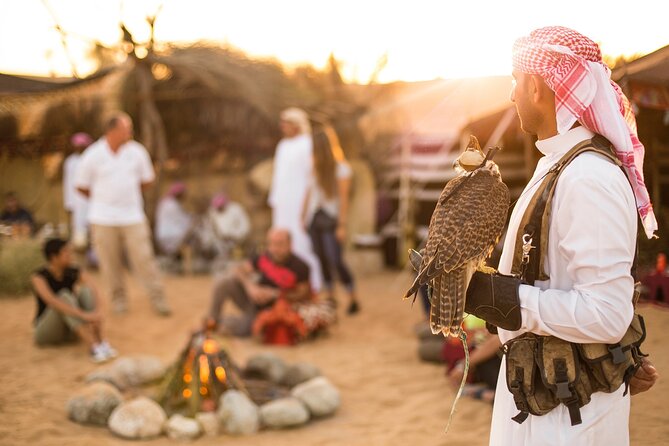 Bedouin Culture Safari - Booking Details and Options