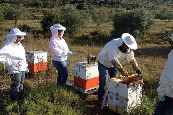 Beekeeper for a Day in Nafplio
