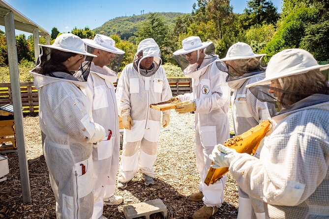 Beekeeping. Honey and Hive.