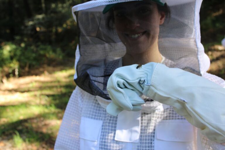 Beekeeping Tour in Amarante With Honey Tasting