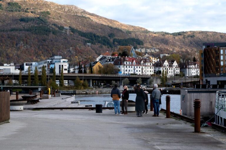 Bergen: Guided Minibus Tour With Photo Stops & Bryggen Tour