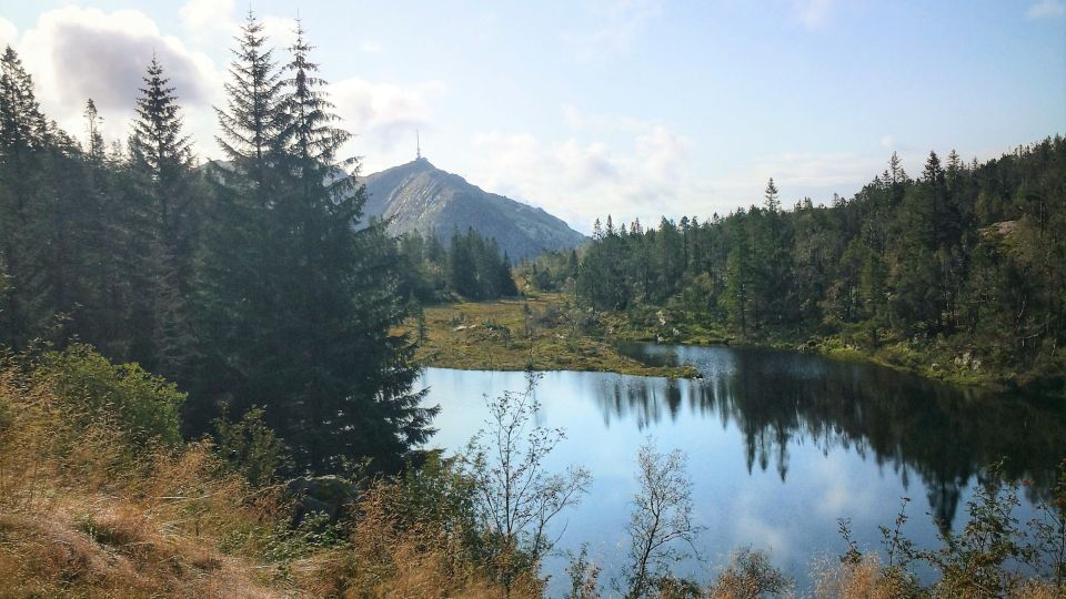 Bergen: Mountain Hike on Top of Bergen – Public Tour