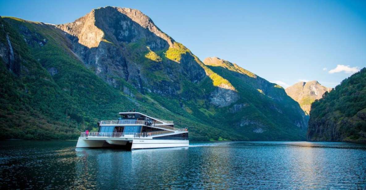 Bergen: Nærøyfjord Cruise and Flåm Railway to Oslo