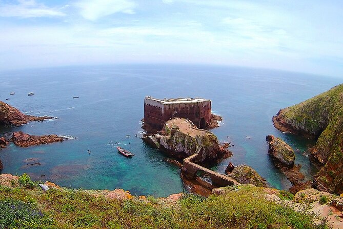 Berlengas Catamaran Tour