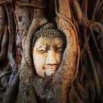 1 best of ayutthaya 5 unesco temple group tour with hotel pick up Best of Ayutthaya : 5 UNESCO Temple Group Tour With Hotel Pick up
