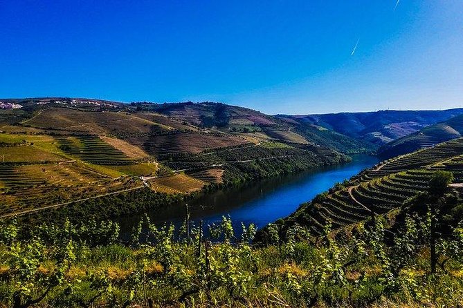 Best of Douro Valley Wine Full Day Private Tour