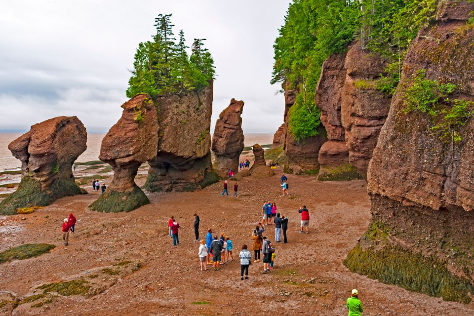1 best of hopewell rocks fundy national park from moncton Best of Hopewell Rocks & Fundy National Park From Moncton