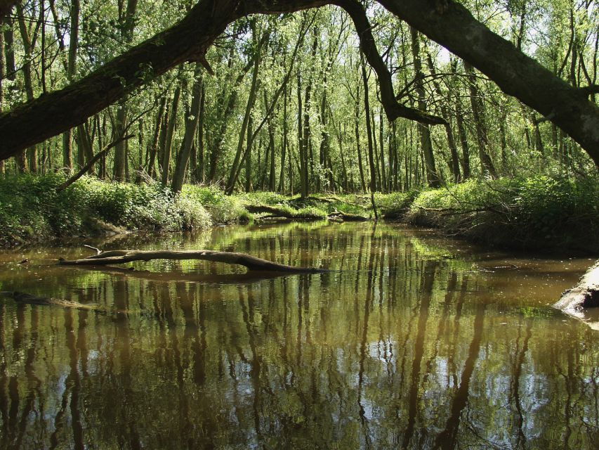 1 biesbosch boat cruise through national park Biesbosch: Boat Cruise Through National Park