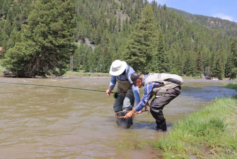 Big Sky: Learn to Fly Fish on the Gallatin River (3 Hours)