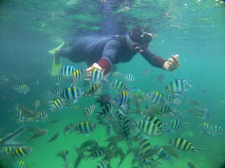 Bintan Snorkeling