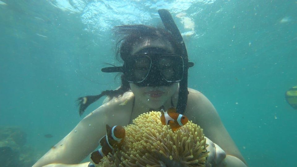 1 bintan snorkeling white sands island tour Bintan Snorkeling & White Sands Island Tour