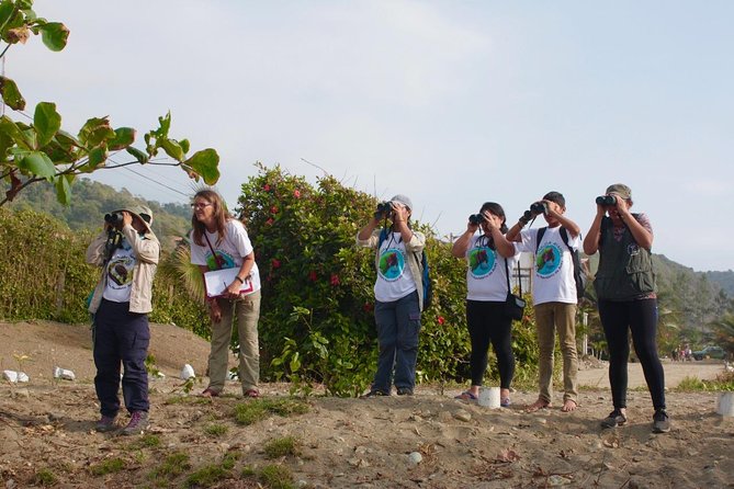 Bird Watching Tours With Sandra Plúa – Manabi, Ecuador