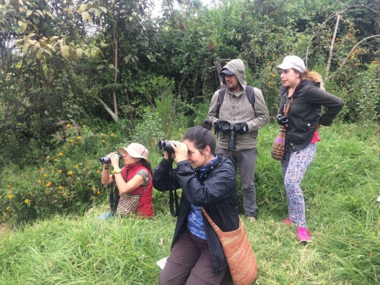 Birdwatching Day Tour at Chicaque Natural Park