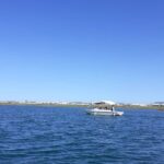 1 birdwatching in ria formosa eco boat tour from faro 2 Birdwatching in Ria Formosa - Eco Boat Tour From Faro
