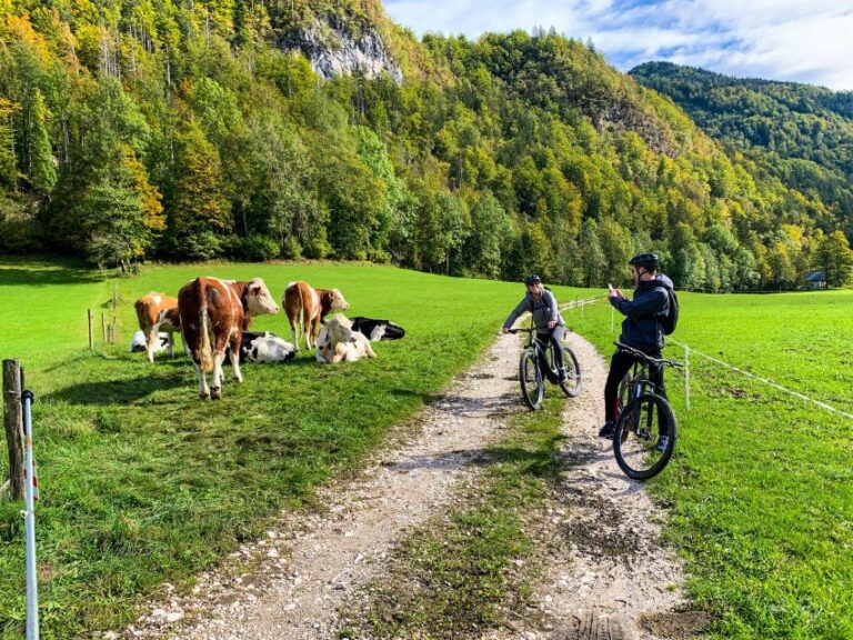 Bled: EBike Tour Lake Bled & Triglav National Park Private