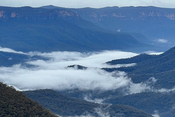 Blue Mountains Day Adventure, Featherdale Wildlife & River Cruise