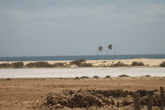 Boa Vista Private Tour From Curral Velho to Ervatao