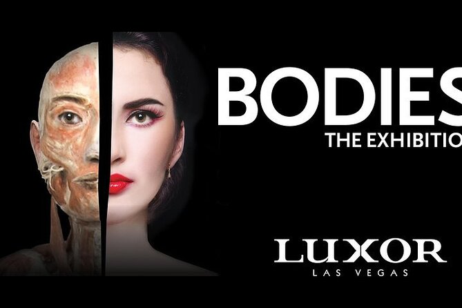 Bodies The Exhibition at the Luxor Hotel and Casino - Visitor Services Offered