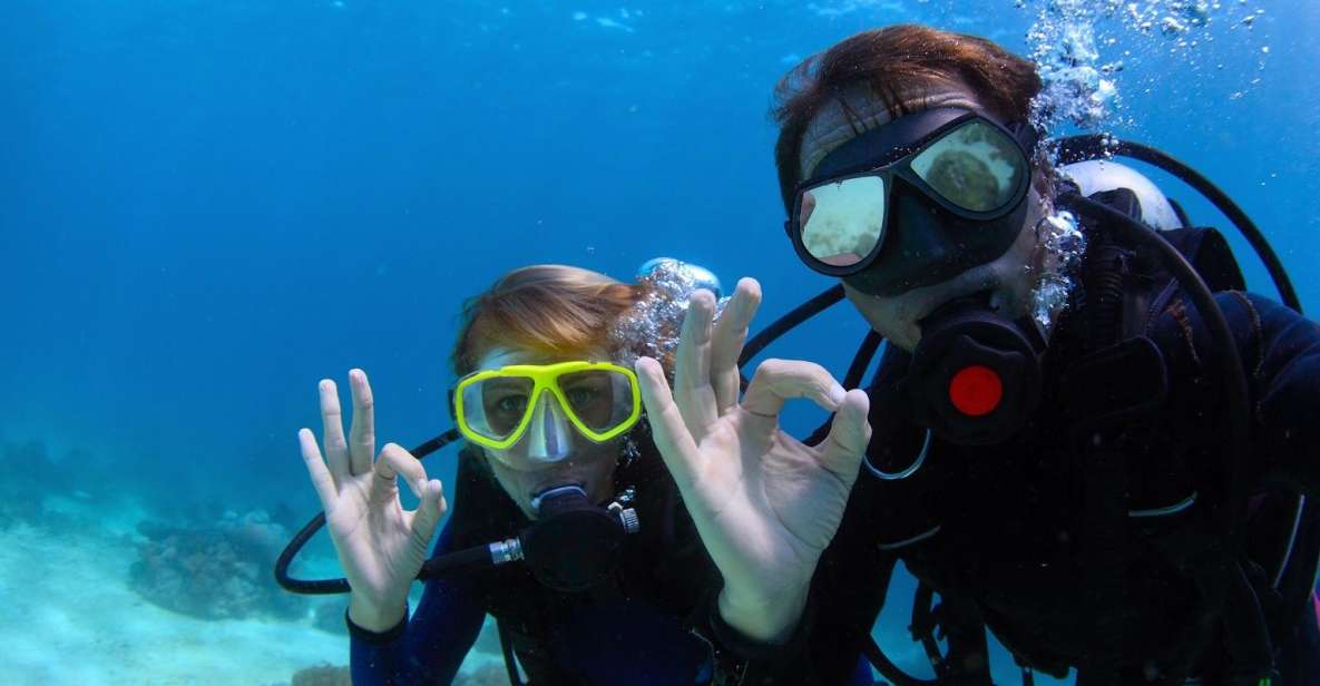 1 bodrum full day scuba diving tour Bodrum: Full-Day Scuba Diving Tour