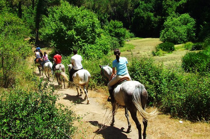 Bodrum Horse Riding Experience W/ Hotel Transfer Service