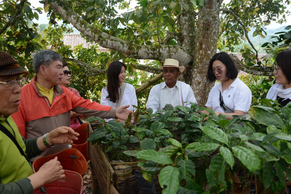 1 bogota colombian coffee tour with farm Bogotá: Colombian Coffee Tour With Farm