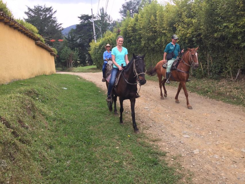 1 bogota horseback wilderness ride Bogota: Horseback Wilderness Ride