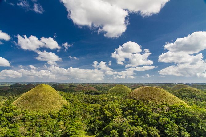 Bohol Highlights Tour: Chocolate Hills, Tarsier Spotting and Loboc River Cruise - Itinerary Highlights