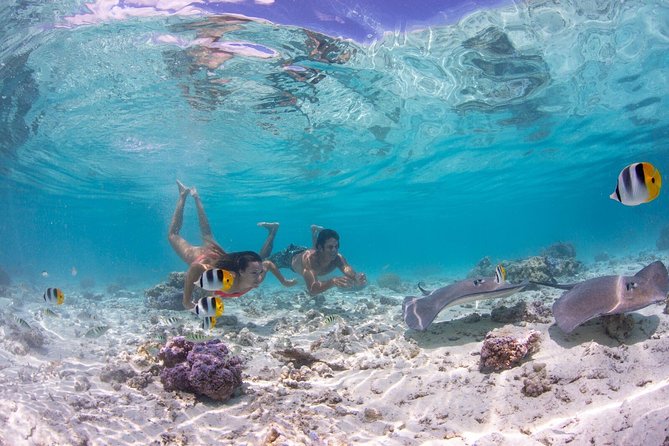 1 bora bora eco snorkel cruise including snorkeling with sharks and stingrays Bora Bora Eco Snorkel Cruise Including Snorkeling With Sharks and Stingrays