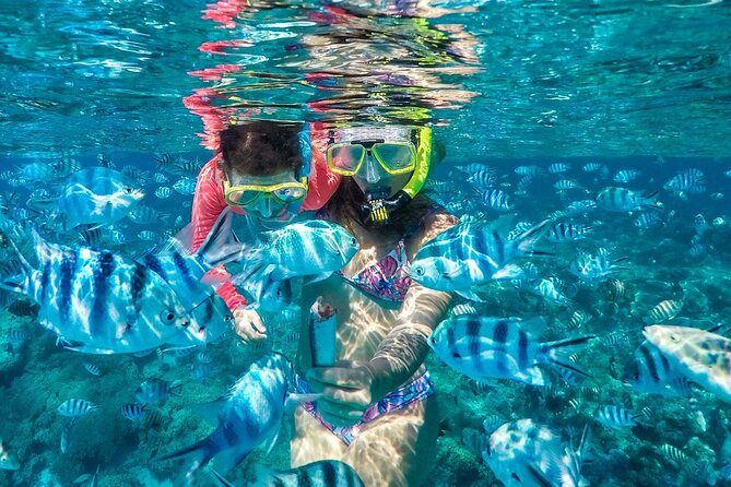 Bora Bora Lagoon Private Half-Day Scavenger Hunt for Kids