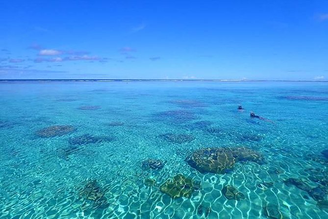 1 bora bora luxury private half day snorkeling tour Bora Bora: Luxury Private Half Day Snorkeling Tour